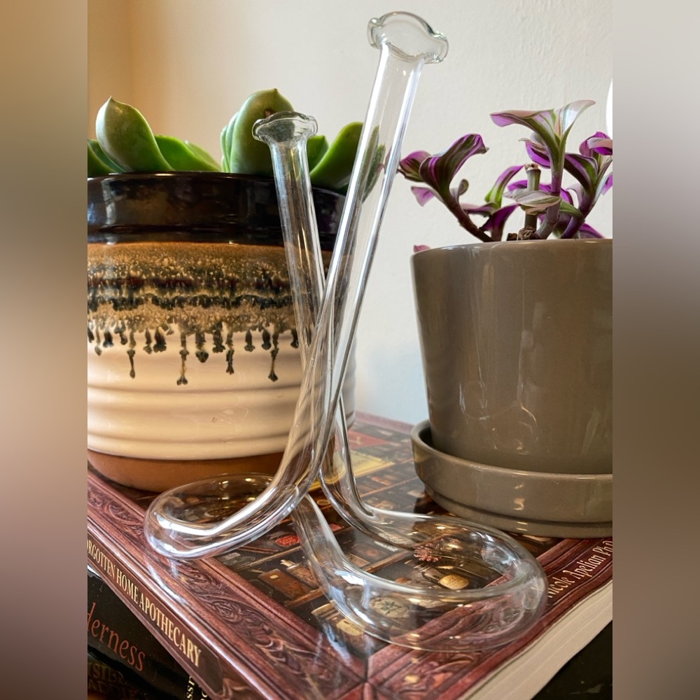 Vintage Twisted Glass Propagation Tube/Double Bud Vase:Boho/Cottagecore/Retro